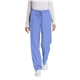 aerial view a ceil blue wink womens workflex cargo pant, image 1 of 5