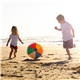 a group of 24 multi - colored beach ball