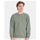 a group of hanes - unisex ecosmart(r) crewneck sweatshirt