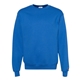aerial view a royal champion(r) double dry eco(r) crewneck sweatshirt, image 1 of 5