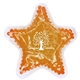 a orange star gelbead hot / cold pack