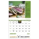 aerial view a group of year of grilling themed calendar, image 4 of 24