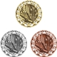 a group of stock star sports medals cross country
