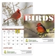 aerial view a group of birds of north america - spiral calendar, image 1 of 18