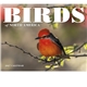 aerial view a group of birds of north america - spiral calendar, image 3 of 18