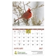 aerial view a group of birds of north america - spiral calendar, image 4 of 18