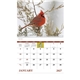 aerial view a group of birds of north america - spiral calendar, image 5 of 18