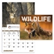 aerial view a group of wildlife portraits - window calendar, image 1 of 18