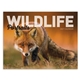 aerial view a group of wildlife portraits - window calendar, image 2 of 18