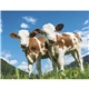 aerial view a group of baby farm animals - stapled calendar, image 11 of 44