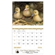 aerial view a group of baby farm animals - stapled calendar, image 22 of 44