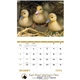 aerial view a group of baby farm animals - stapled calendar, image 24 of 44