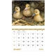 aerial view a group of baby farm animals - stapled calendar, image 25 of 44