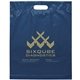 aerial view a navy blue frosted plastic flexo ink multi color die cut handle bag 15 x 19, image 1 of 2