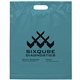aerial view a teal frosted plastic flexo ink multi color die cut handle bag 15 x 19, image 1 of 2