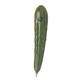 aerial view a green vegetable pen pickle, image 1 of 2