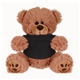 a brown/black shirt 8 plush bear / stuffed animal with shirt