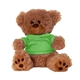 a brown/lime shirt 8 plush bear / stuffed animal with shirt