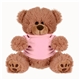 aerial view a brown/pink shirt 8 plush bear / stuffed animal with shirt, image 1 of 2