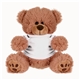 aerial view a brown/white shirt 8 plush bear / stuffed animal with shirt, image 1 of 2