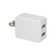 Promotional 2 Port USB Folding Wall Charger
