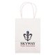 aerial view a white kraft white 100 recyclable kraft pup bag - 4- color heat transfer, image 1 of 2