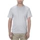Alstyle Adult 6.0 oz, 100 Cotton T - Shirt - COLORS