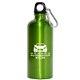 Aluminum Bottle 22 oz