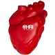Anatomic Heart Squeezies Stress Reliever