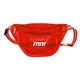 Ann Arbor Transparent Waist Pack