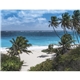 Beaches Appointment Calendar - Stapled