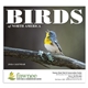 Birds of North America - Stapled - Good Value Calendars(R)