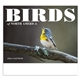 Birds of North America - Stapled - Good Value Calendars(R)