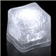 Blank Lited Ice Cubes - White