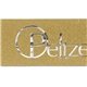 Bridal Satin Ribbon 7/8 w / Foil Print