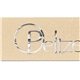 Bridal Satin Ribbon 7/8 w / Foil Print