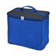 Polyester 2- In -2 Trunk Organizer Cooler 12 X 10