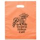 Colored Frosted Die - Cut Convention Bag 15 x 12