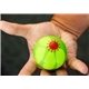 COVID -19 Color Changing Mood Ball Stress Reliever