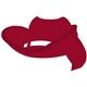 Cowboy Hat Visor