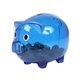 Translucent Piggy Bank Coin Bank