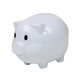 Translucent Piggy Bank Coin Bank