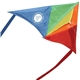 27 Colorful Delta Dancer Kite