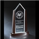 Distinctive Culmination Award