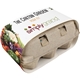 Eco - Friendly Carton Garden Kit With Seeds And Soil