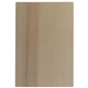 Eco - Friendly Wood Shapes Challenge Puzzle
