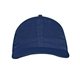 econscious Hemp Hero 6- Panel Cap