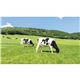Farmers Pocket Calendar With Storage