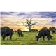 Farmers Pocket Calendar With Storage