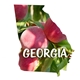 Georgia State Shape Hand Fan Without Stick - Paper Products